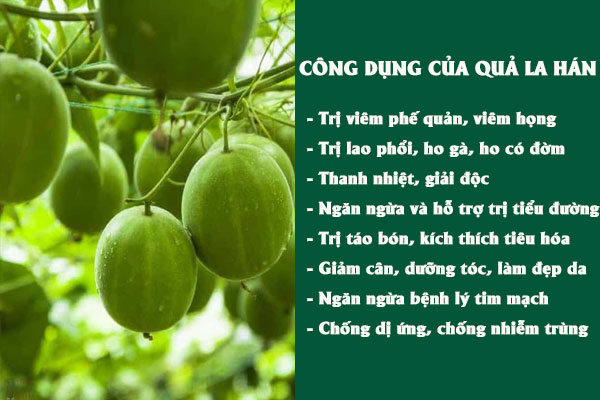 Những tác dụng của quả la hán đối với sức khỏe.
