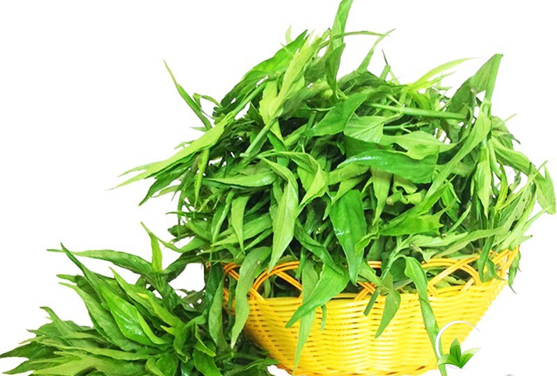 ho-tro-dieu-tri-vet-thuong-do-ran-can