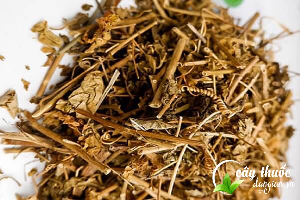 Nên sử dụng lạc tiên đúng liều lượng để mang lại hiệu quả tốt nhất!