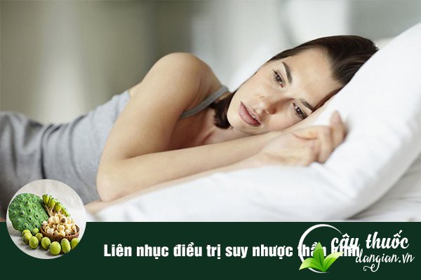 Liên nhục (Hạt sen) cũng là một vị thuốc rất tốt trong bài thuốc điều trị suy nhược thần kinh hiệu quả.