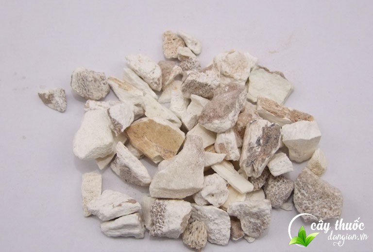 Vị thuốc long cốt