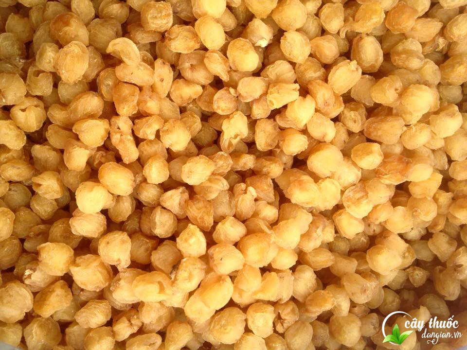 an-long-nhan-co-nong-khong