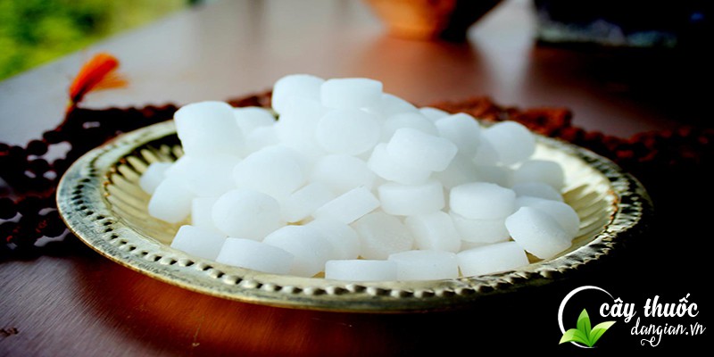 Cách dùng long não đuổi chuột