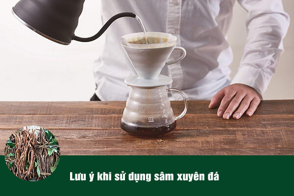 Lưu ý nên tham khảo ý kiến của người có chuyên môn trước khi sử dụng bài thuốc từ Sâm xuyên đá.