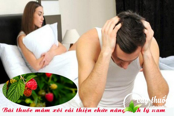 Bài thuốc mâm xôi giúp cải thiện chức năng sinh lý nam hiệu quả