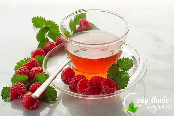 Lưu ý nên lựa chọn những quả mâm xôi tươi và nên tham khảo ý kiến bác sĩ trước khi dùng