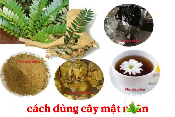 Mật nhân có thể được dùng với nhiều cách như sắc nước, tán bột, ngâm rượu,...