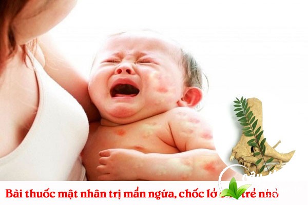 Bài thuốc chữa mẩn ngứa, chốc lở ở trẻ nhỏ từ mật nhân rất tốt