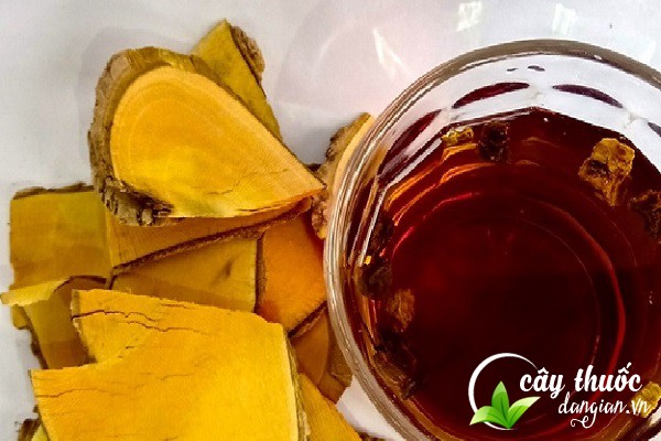 Lưu ý nên tham khảo ý kiến của thầy thuốc, bác sĩ trước khi dùng mật nhân làm thuốc chữa bệnh