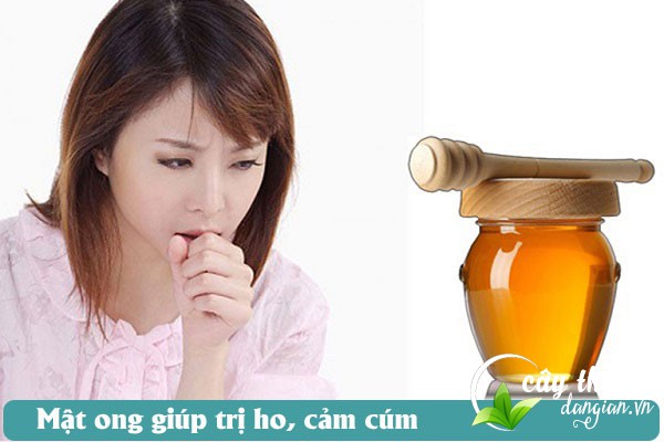 Mật ong rừng được nhiều người sử dụng để làm bài thuốc trị ho, cảm cúm hiệu quả