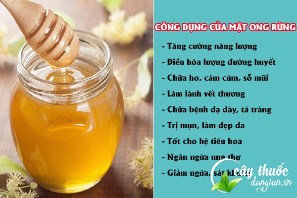 Những công dụng tuyệt vời của mật ong rừng đối với sức khỏe và làm đẹp