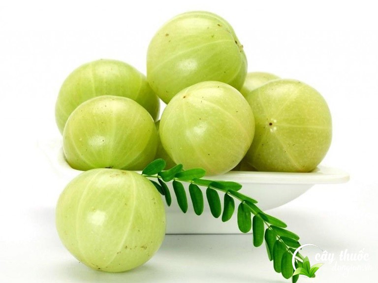 Quả me rừng chứa thành phần gì?