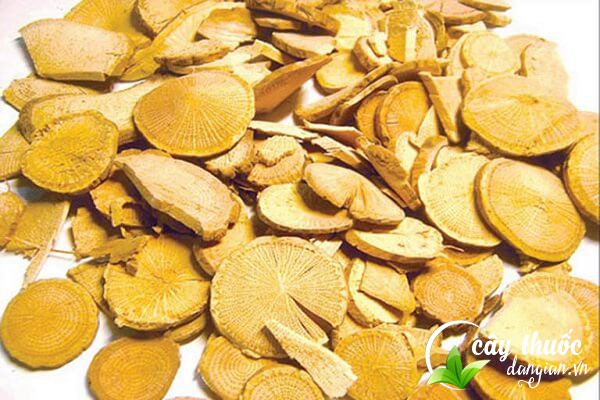 Lưu ý nên tham khảo ý kiến của bác sĩ, thầy thuốc trước khi sử dụng bài thuốc từ mộc thông