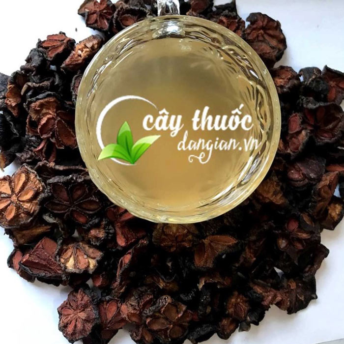 Mua quả bứa giá tốt tại Cây Thuốc Dân Gian