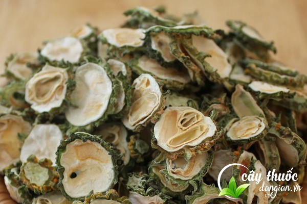 Mướp đắng hay còn gọi là khổ qua là một dược liệu có nhiều công dụng cho sức khỏe