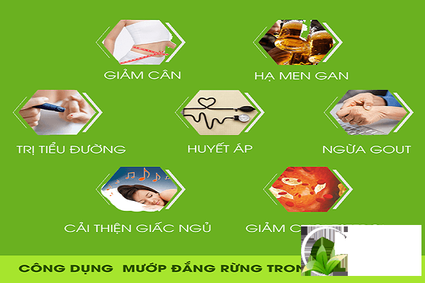 Công dụng của mướp đắng đối với sức khỏe