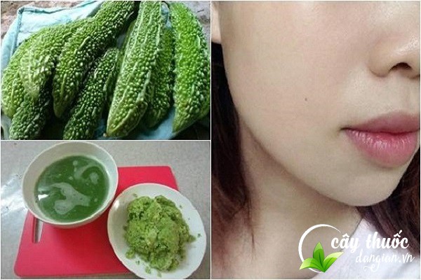 Bài thuốc mướp đắng trị mụn nhọt hiệu quả