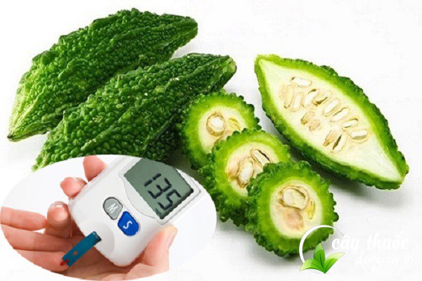Bài thuốc mướp đắng trị cao huyết áp