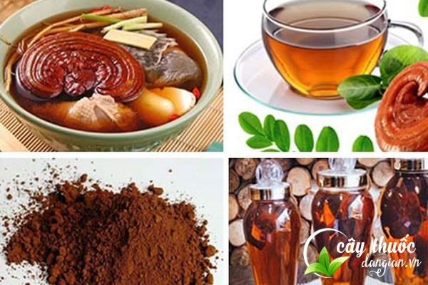 Những cách dùng nấm lim xanh phổ biến hiện nay