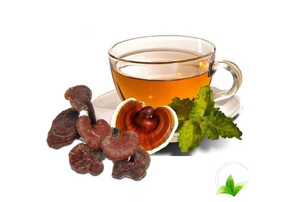 Nên tham khảo ý kiến của bác sĩ trước khi sử dụng nấm lim xanh