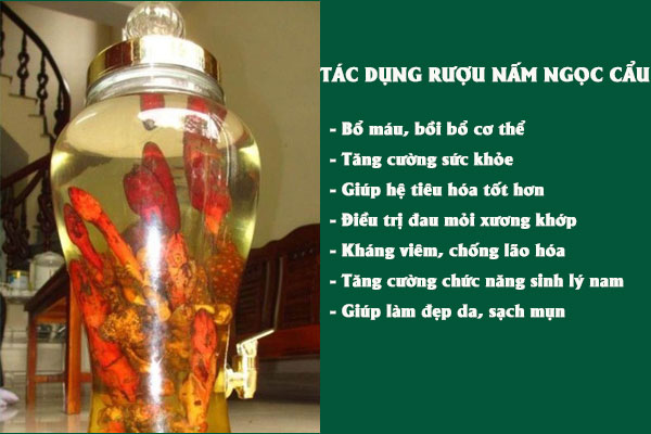 Rượu nấm ngọc cẩu có nhiều công dụng tốt cho sức khỏe và sinh lý