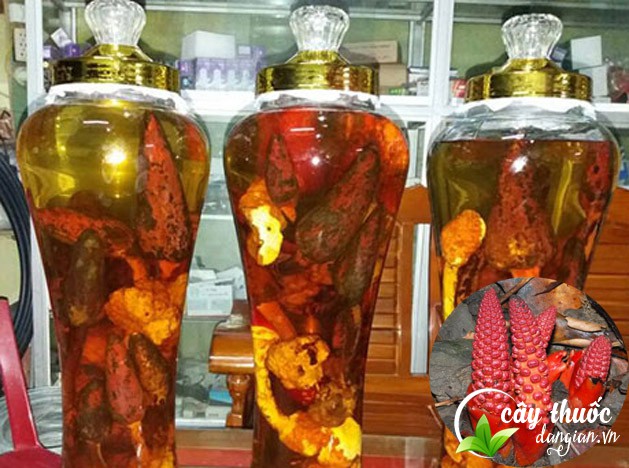 Rượu nấm ngọc cẩu