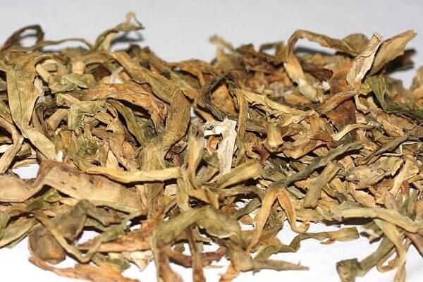 Lưu ý không được sử dụng lá náng quá liều sẽ dễ gây nhiều tác dụng phụ cho sức khỏe