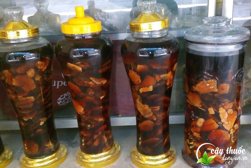 ngam-ruou-ha-thu-o-do