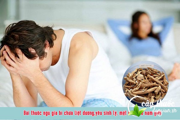 Bài thuốc ngũ gia bì trị liệt dương, yếu sinh lý ở nam giới