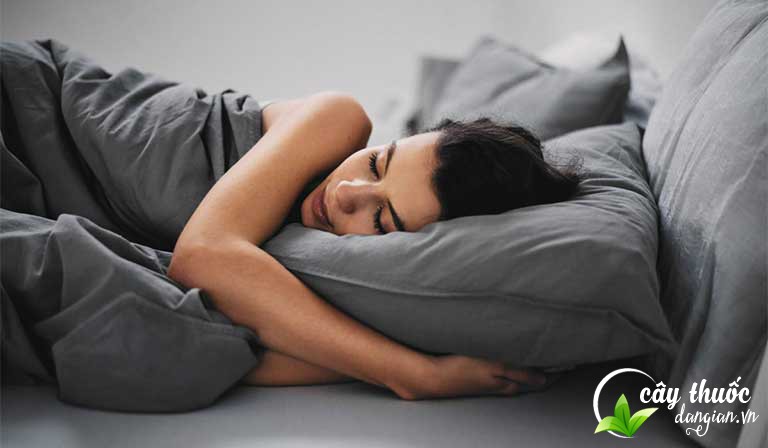 Long cốt giúp an thần, cải thiện chứng mất ngủ