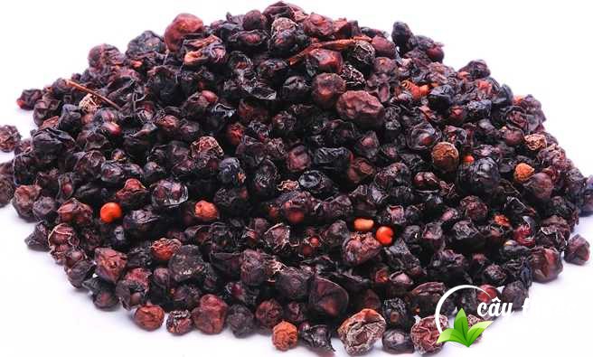 Ngũ vị tử giúp tăng cường sinh lực