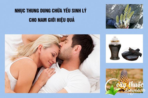 Bài thuốc Nhục thung dung chữa yếu sinh lý cho nam giới hiệu quả