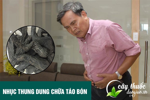 Bài thuốc Nhục thung dung chữa táo bón 