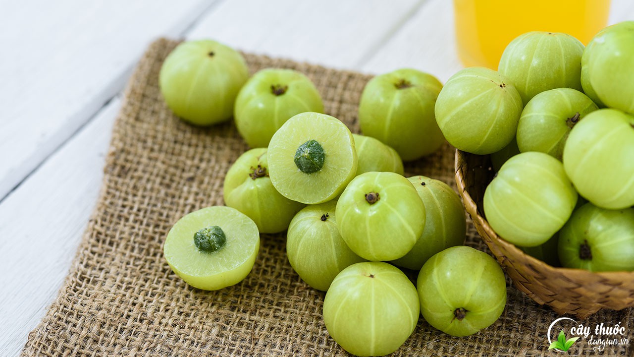 Dùng me rừng ngâm đường