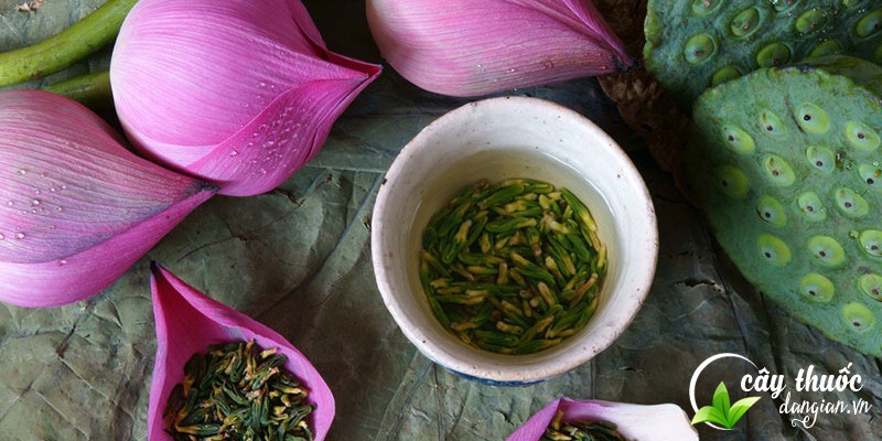 Bí quyết mua trà tâm sen ngon