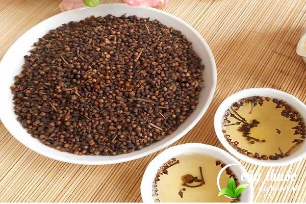 Nước nụ vối giúp thanh lọc, đào thả độc tố