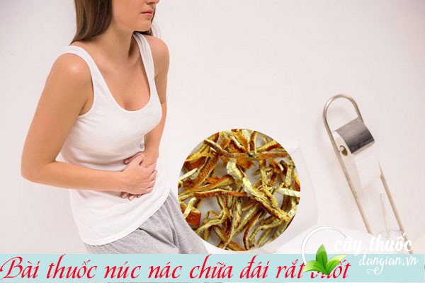 Bài thuốc núc nác chữa tiểu buốt rát