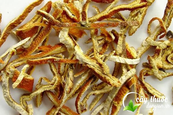 Lưu ý nên tham khảo ý kiến bác sĩ, thầy thuốc trước khi dùng núc nác chữa bệnh