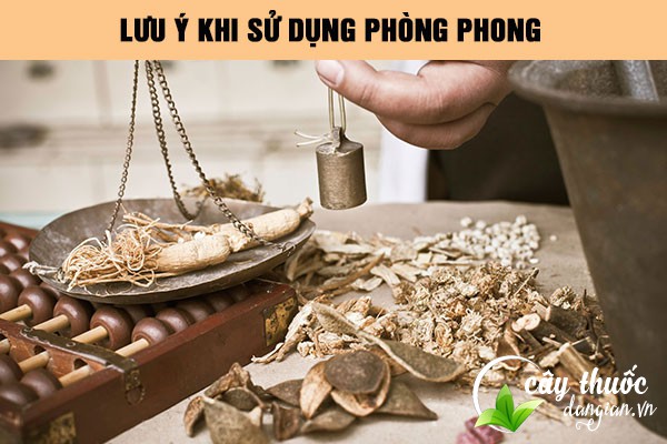 Lưu ý nên tham khảo ý kiến bác sĩ trước khi áp dụng các bài thuốc từ Phòng phong