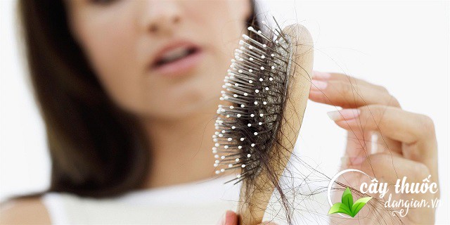 Trà hoa đào để làm đẹp và chăm sóc sức khỏe phụ nữ