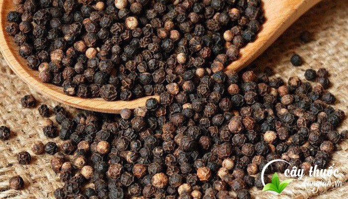 tac-dung-cua-hat-tieu