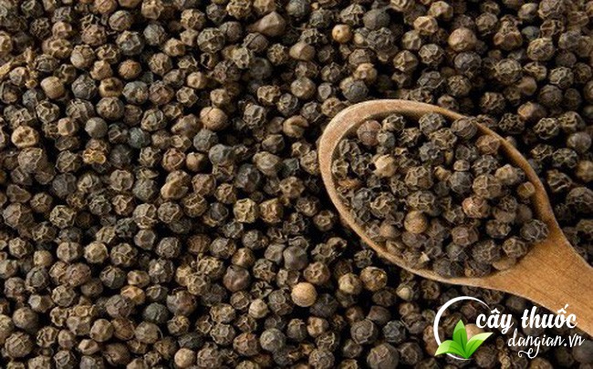 cach-bao-quan-hat-tieu