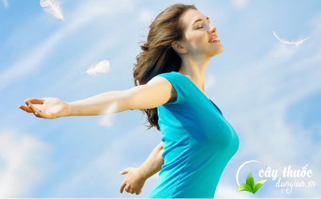 tra-hoa-bach-hop-rat-tot-cho-suc-khoe