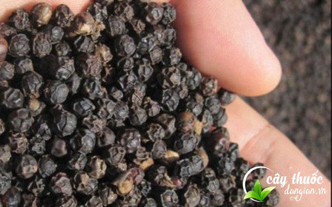 an-hat-tieu-co-tac-dung-gi-doi-voi-suc-khoe