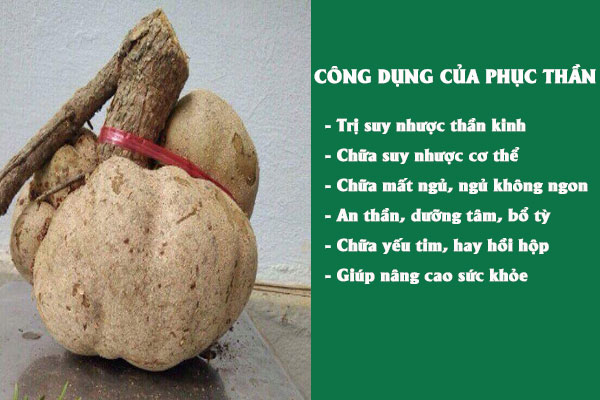 Một số công dụng tuyệt vời của vị thuốc Phục thần