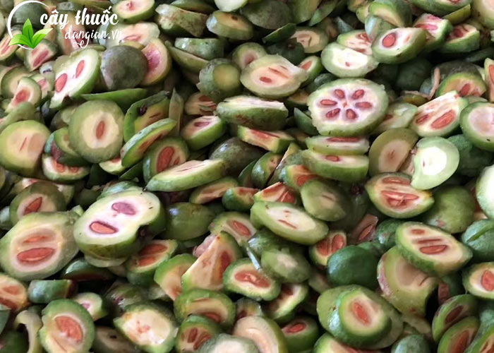 Quả Bứa giúp giảm Cholesterol trong máu