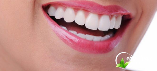 cach-dung-cay-co-ngot-cham-soc-rang-mieng