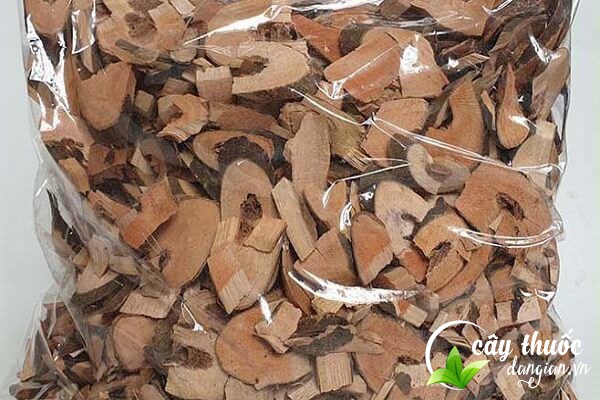 Lưu ý tham khảo ý kiến của bác sĩ, thầy thuốc, người có chuyên môn trước khi dùng bài thuốc từ gối hạc.