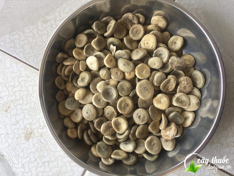 hat-ma-tien-dung-ngam-ruou