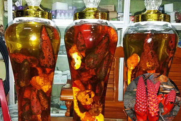 Rượu nấm ngọc cẩu là rượu ngâm với nấm ngọc cẩu để giúp hỗ trợ điều trị một số bệnh lý